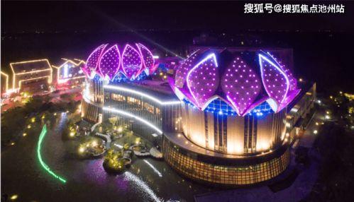 2k24最新卡包爆料,精彩亮点与策略解析 第2张 2k24最新卡包爆料,精彩亮点与策略解析 第2张