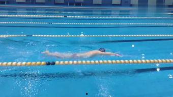 游泳在线观看 第1张 游泳在线观看 第1张